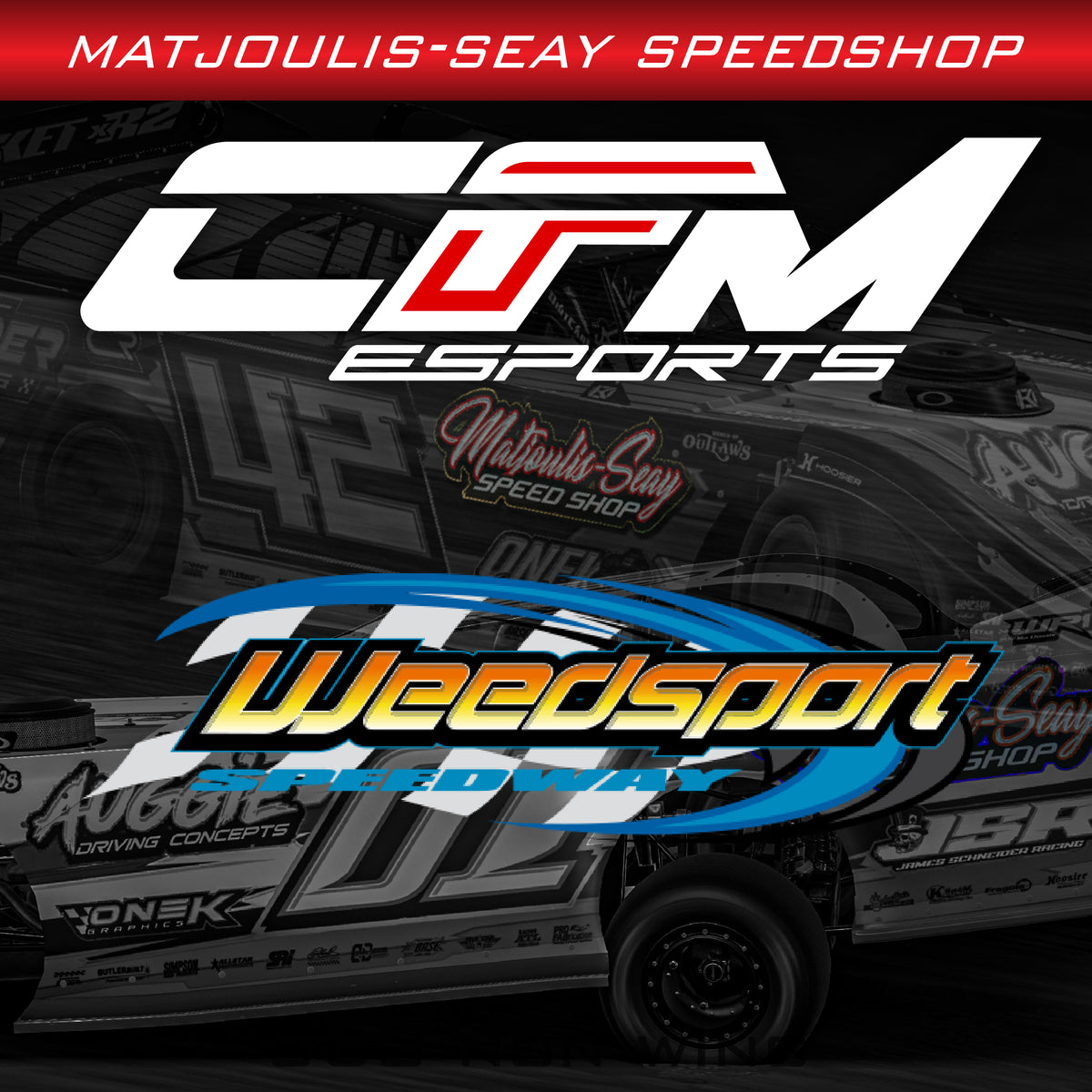 DIRT PRO LATE MODEL - WEEDSPORT